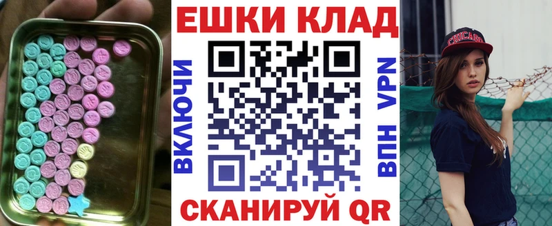 ЭКСТАЗИ диски  Купить закладки  Новозыбков 