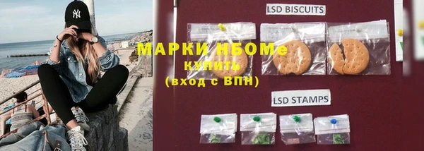 ECSTASY Бородино