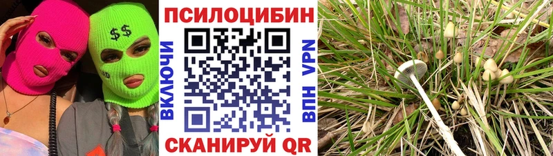 Галлюциногенные грибы прущие грибы  Купить где  Новозыбков 